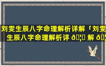 刘雯生辰八字命理解析详解「刘雯生辰八字命理解析详 🦄 解 🦋 大全」